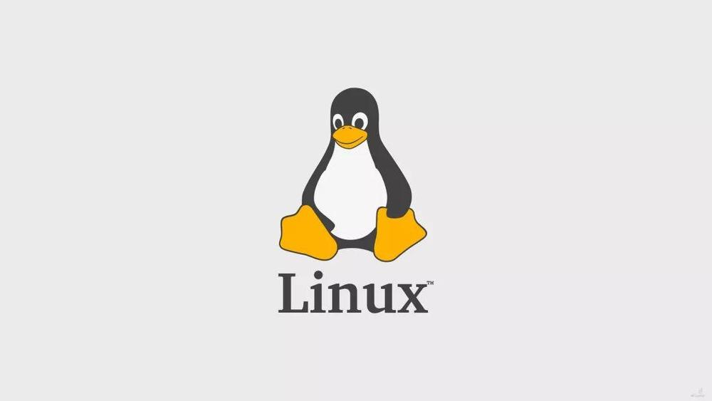 Linux发展史上造成重大影响的四位天才黑客 IT业界 第8张