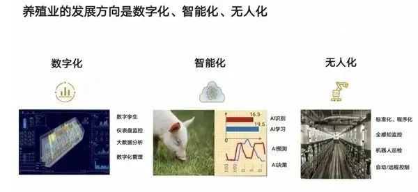 华为高管回应涉足养猪传闻：不养猪 赋能企业用 AI 养好猪