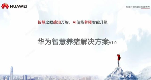 华为高管回应涉足养猪传闻：不养猪 赋能企业用 AI 养好猪