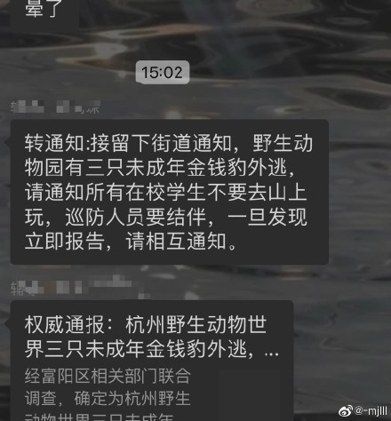 【喷嚏图卦20210508】杭州发现的豹子是什么豹