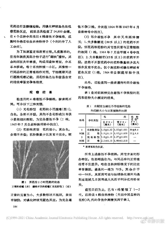 【喷嚏图卦20210522】那些与我们同时代的光芒熠熠的人物，其实和伴随我们的日月星辰没什么区别