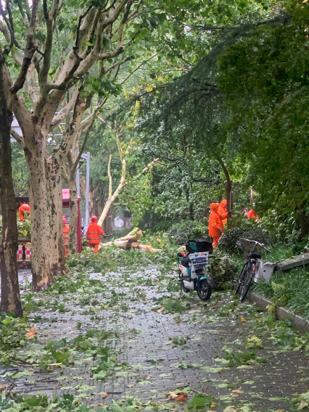 【喷嚏图卦20210725】我喜欢的世界大概就该是这个样子的