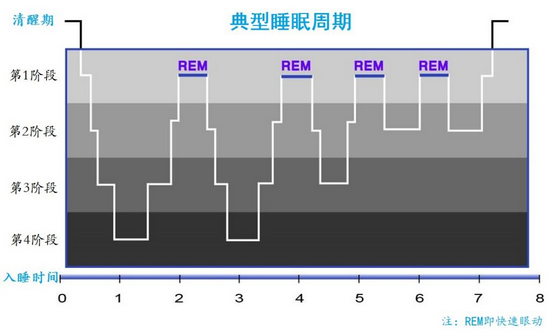 我一天8小时不够睡，为啥有人可以只睡4小时？