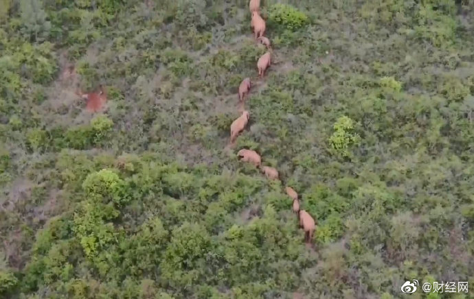 【喷嚏图卦20210809】在星际摇滚区尽览壮阔多变的地球美景