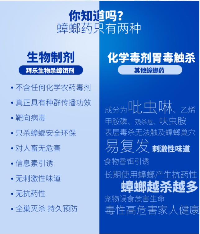 家里怎么灭杀蟑螂，杀蟑胶饵的种类及选择！