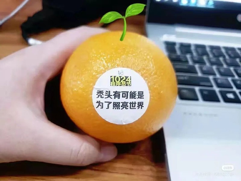 自动草稿