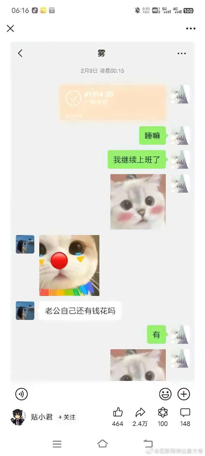 胖猫事件完整版