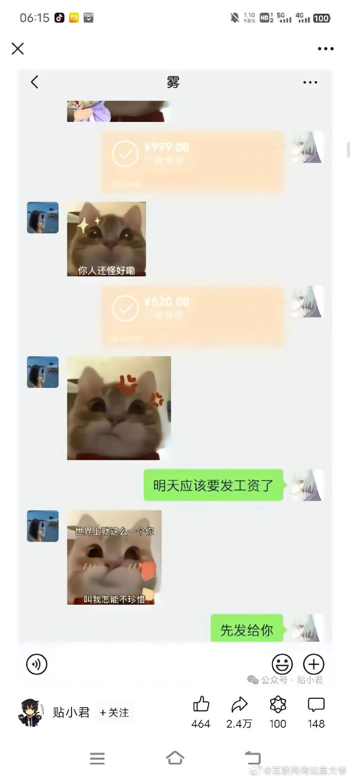 胖猫事件完整版