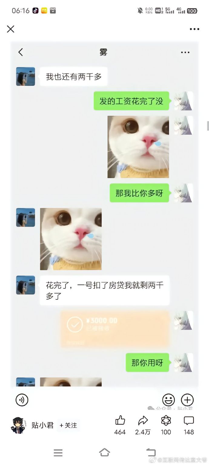 胖猫事件完整版