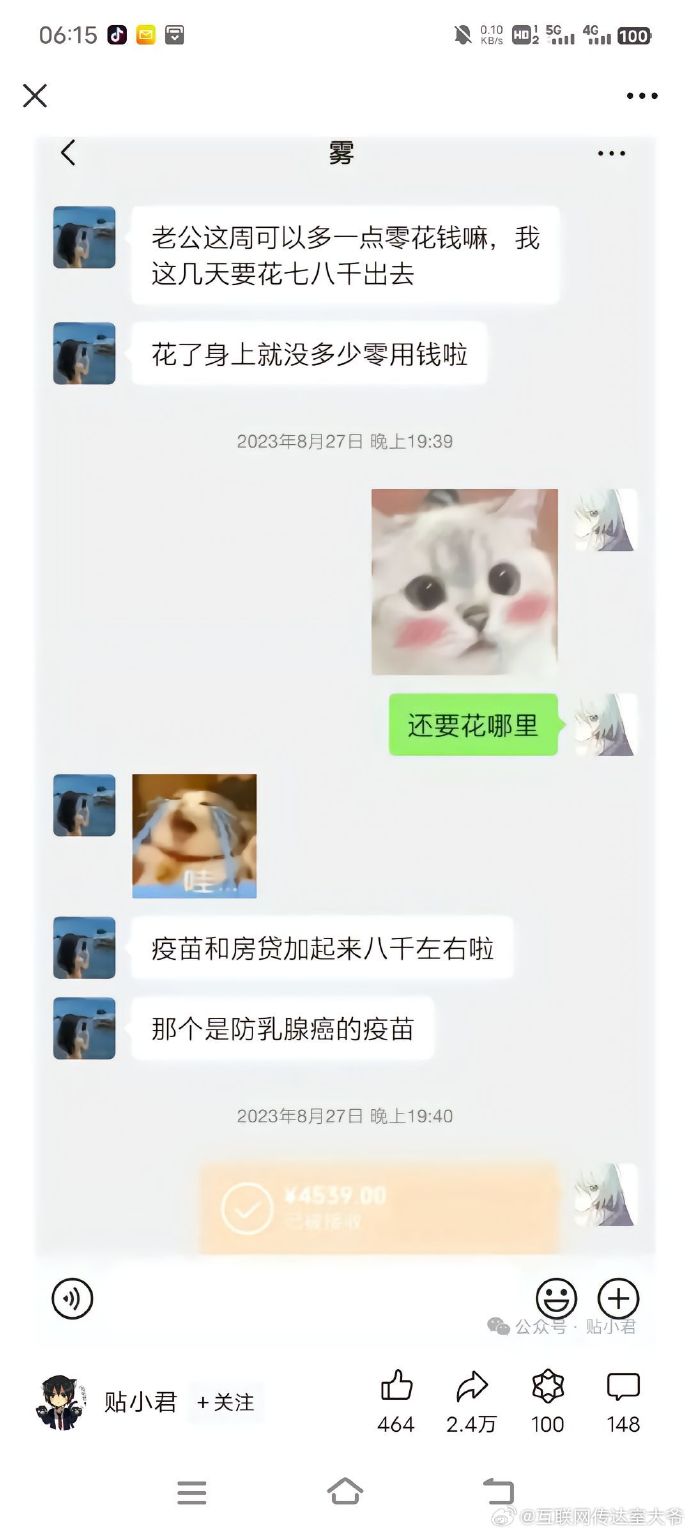 胖猫事件完整版